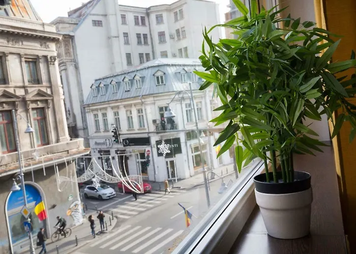 Ideal Apartment